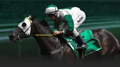 国足迎战澳大利亚主场之战，球迷翘首以盼能否赢分？